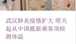 越南肺炎最新爆料,疫情动态与防控措施全解析